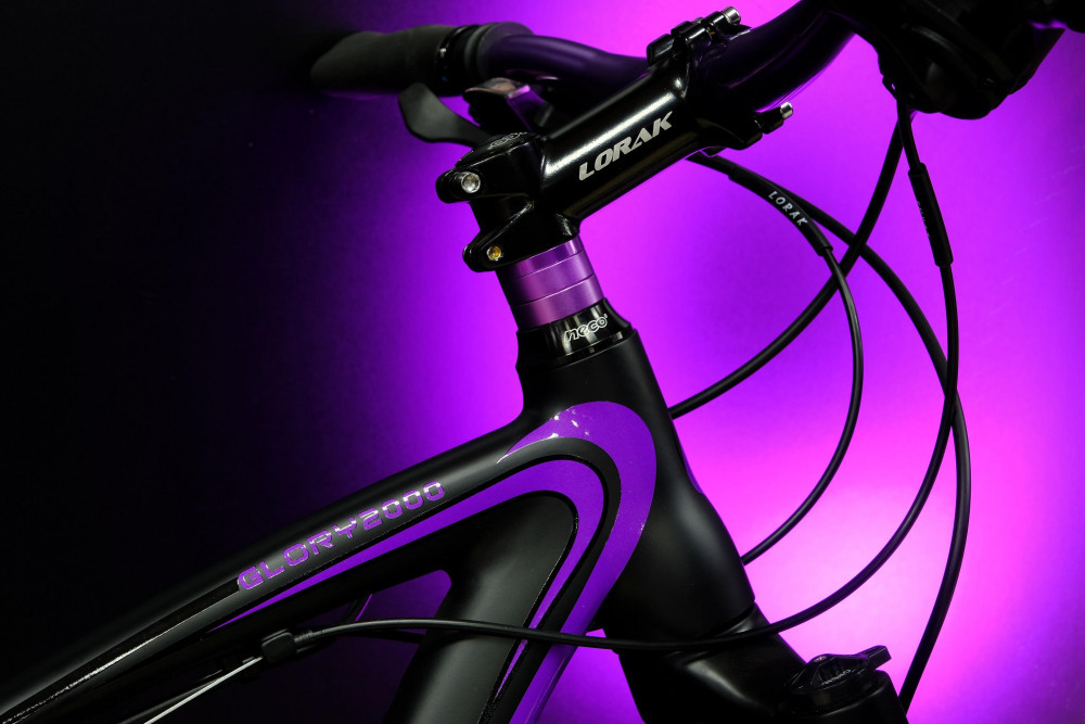 Lorak Glory 2000 Матовый Чёрный/Фиолетовый рама 15 (на рост 141-160)